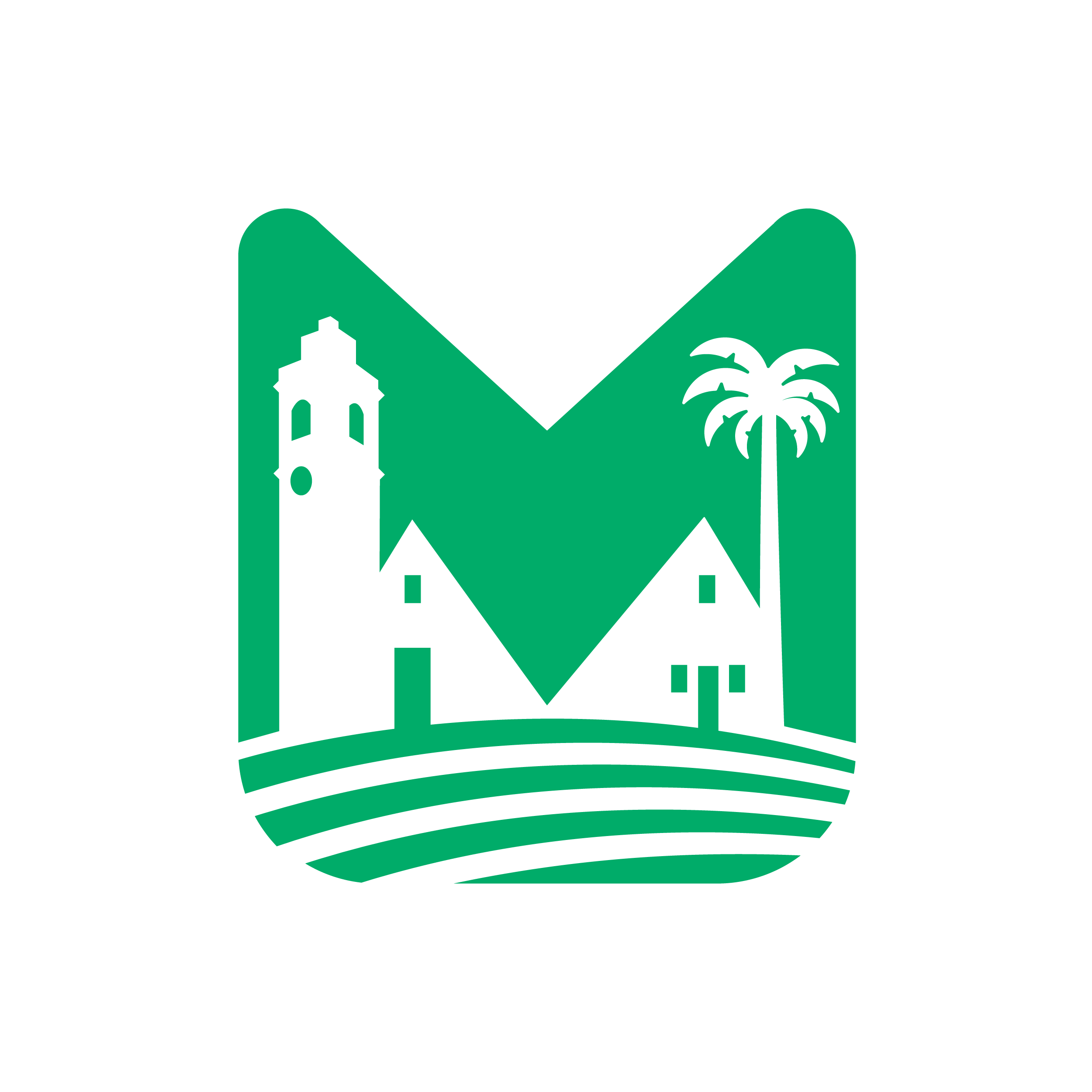mancoweb1