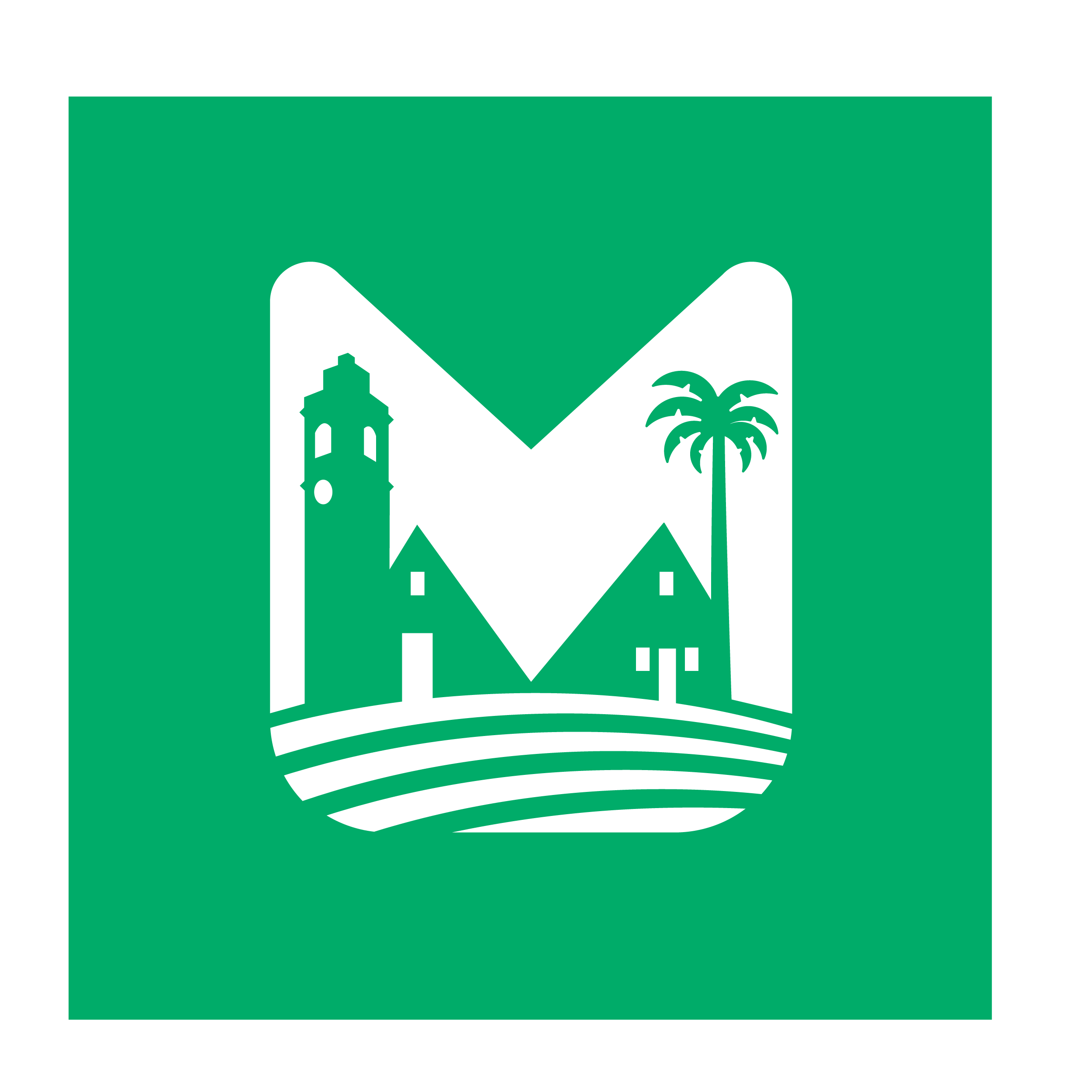 mancoweb7