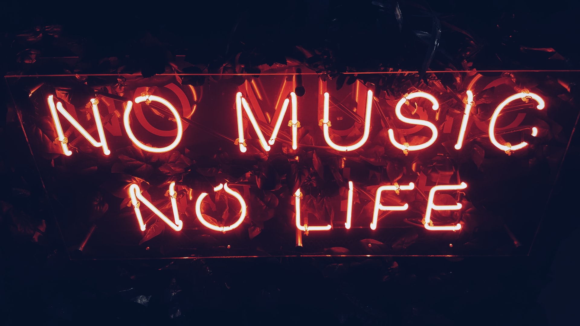 simon-noh-0rmby-3OTeI-unsplash simon-noh-0rmby-3OTeI-unsplash