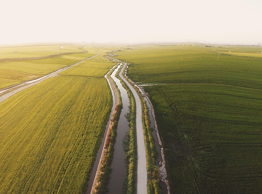 Agroalimentación