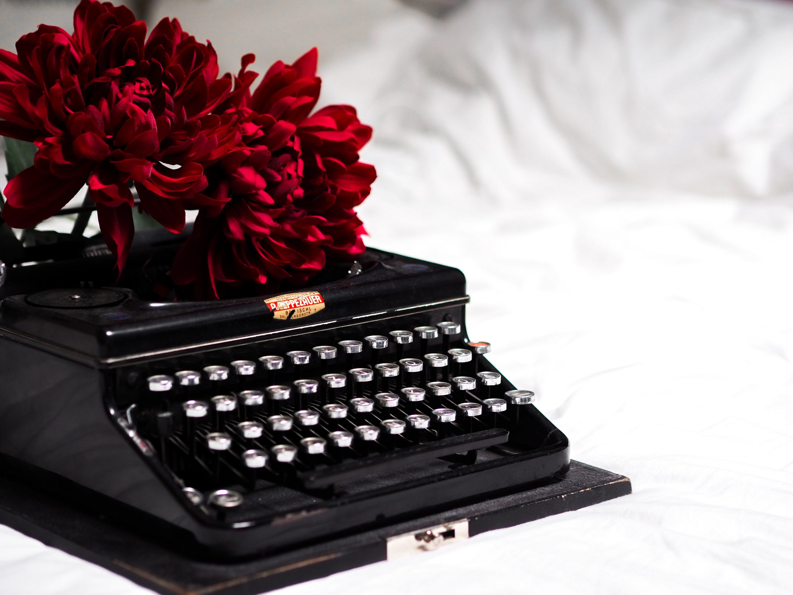 laura-chouette-ODECMcBQlC0-unsplash laura-chouette-ODECMcBQlC0-unsplash